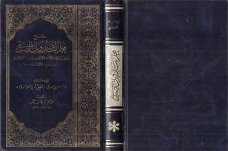شرح قطر الندى وبل الصدى