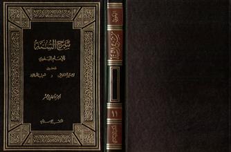 شرح السنة-ج11