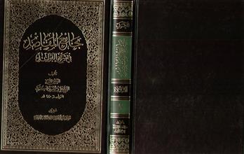 جامع المقاصد في شرح القواعد ج2