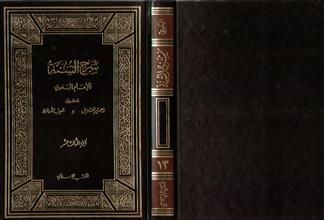 شرح السنة-ج13