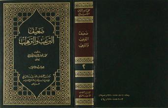 ضعيف الترغيب و الترهيب ج2
