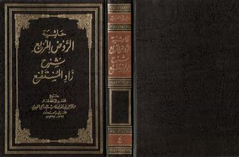 حاشية الروض المربع شرح زاد المستقنع المجلد الرابع