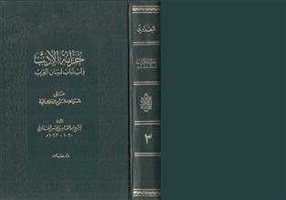 خزانة الادب ولب لباب لسان العرب على شواهد شرح الكافية ج3