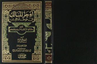 أوجز المسالك إلى موطأ مالك ج15