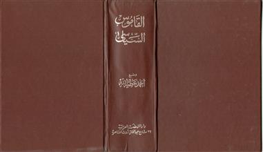 القاموس السياسي