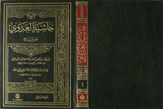 حاشية العدوي ج2