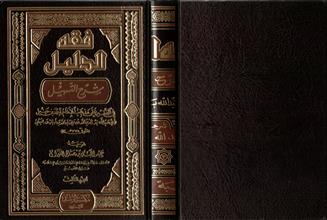 فقه الدليل شرح التسهيل في الفقه على مذهب الأمام أحمد بن حنبل -ج3