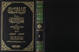 لب اللباب في تحرير الأنساب ج2
