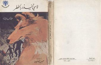 لاسي تنذر بالخطر
