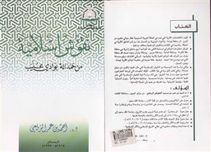 نقوش اسلامية من حمدانة بوادي عليب