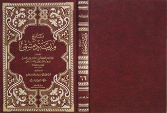 تاريخ مدينة دمشق ج66