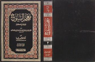معجم الشيوخ ج2