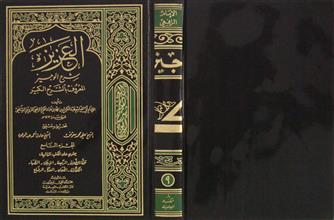 العزيز شرح الوجيز ج9