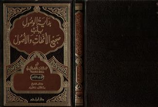 بداية الوصول بلب صحيح الأمهات والأصول المجلد الثامن