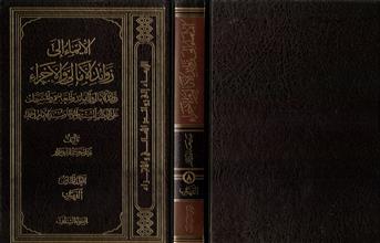الإيماء الى زوائد الأمالي والأجزاء ج8