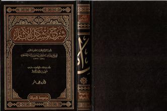 شرح مشكل الأثار 10