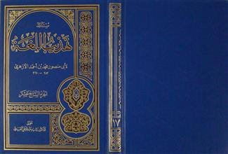 تهذيب اللغة ج17