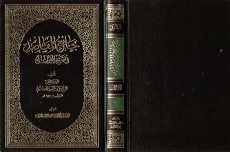 جامع المقاصد في شرح القواعد ج6