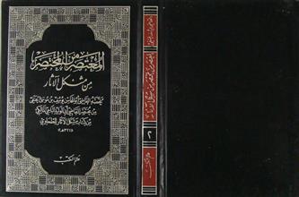 المعتصر من المختصر من مشكل الآثار ج2