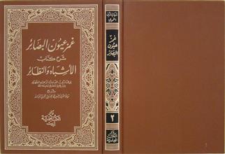 غمز عيون البصائر شرح كتاب الأشياه و النظائر ج2