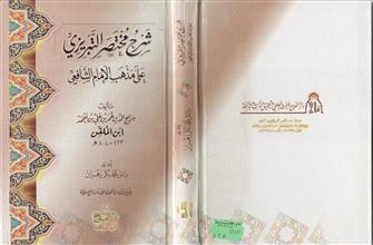 شرح مختصر التبريزي على مذهب الإمام الشافعي
