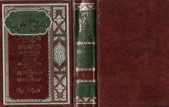 موسوعة شروح الوطأ -ج21