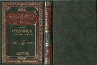 تلخيص كتاب الإستغاثة المعروف بالرد على البكري وبهامشه كتاب الرد على الإخنائي وإستحباب زيارة خير البرية الزيارة الشرعية