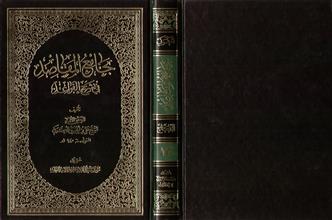 جامع المقاصد في شرح القواعد ج13