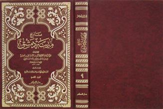 تاريخ مدينة دمشق ج9