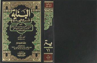 البناية شرح الهداية ج11