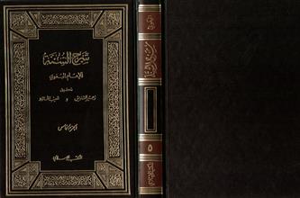 شرح السنة-ج5