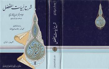 شرح أبيات المفصل -ج1