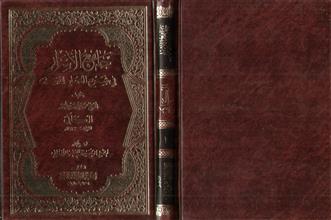 جامع الأسرار في شرح المنار للنسفي ج1