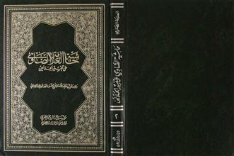 حاشية العلامة الصاوي على تفسير الجلالين ج2