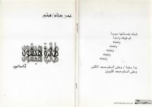 طائرة هيشون