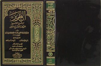 العزيز شرح الوجيز ج13