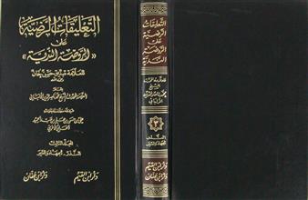 التعليقات الرضية على الروضة الندية م3