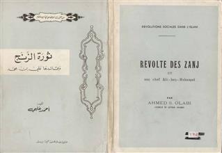 ثورة الزنج وقائدها علي بن محمد