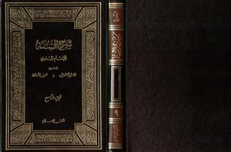 شرح السنة-ج9