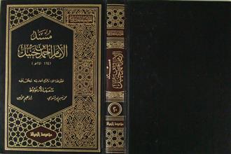 مسند الإمام أحمد بن حنبل ج20