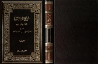 شرح السنة-ج3