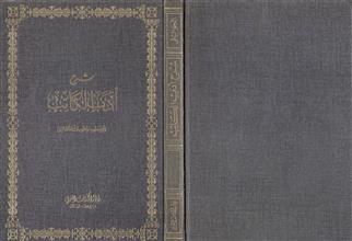 شرح أدب الكاتب