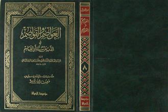 العواصم و القواصم في الذب عن سنة أبي القاسم ج8