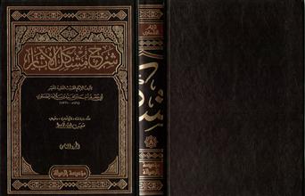 شرح مشكل الأثار 8