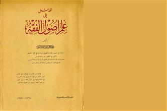 المدخل إلى علم أصول الفقه