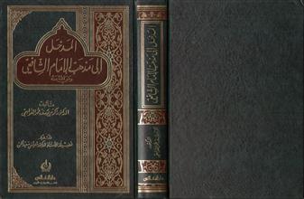 المدخل إلى مذهب الإمام الشافعي
