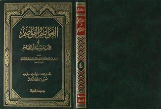 العواصم و القواصم في الذب عن سنة أبي القاسم ج4