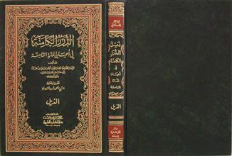 الدرر الكامنة في أعيان المائة الثامنة الذيل