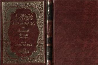 جامع الأسرار في شرح المنار للنسفي ج3