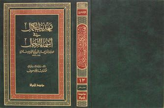تهذيب الكمال في أسماء الرجال ج13